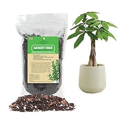 Money tree soil for sale  Delivered anywhere in UK