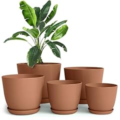 Utopia home plastic for sale  Delivered anywhere in USA 