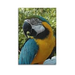 Xfpmxc poster animal d'occasion  Livré partout en France