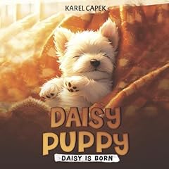 Daisy born for sale  Delivered anywhere in USA 
