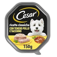 Cesar ricette classiche usato  Spedito ovunque in Italia 