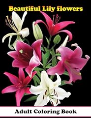 Beautiful lily flowers for sale  Delivered anywhere in USA 