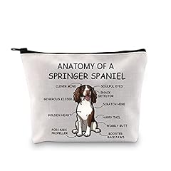 Springer spaniel cane usato  Spedito ovunque in Italia 