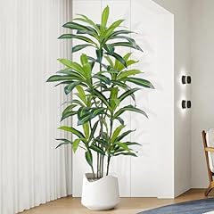 Zeeoze dracaena künstlicher gebraucht kaufen  Wird an jeden Ort in Deutschland