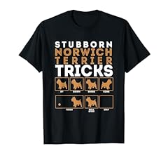 Stubborn norwich terrier for sale  Delivered anywhere in USA 