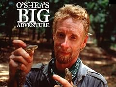 Shea big adventure for sale  Delivered anywhere in USA 