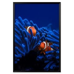 Two cute clown for sale  Delivered anywhere in USA 