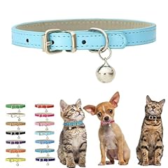 Sky blue kitten for sale  Delivered anywhere in UK