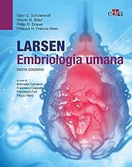 Larsen embriologia umana usato  Spedito ovunque in Italia 