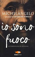 Michelangelo. sono fuoco usato  Spedito ovunque in Italia 