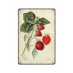 Daiercy vintage strawberry for sale  Delivered anywhere in USA 
