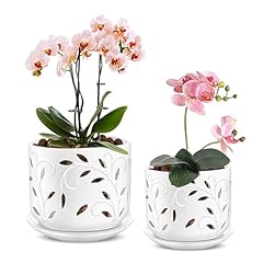 Efispss orchid pot for sale  Delivered anywhere in USA 