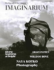 Imaginarium magazine zine gebraucht kaufen  Wird an jeden Ort in Deutschland