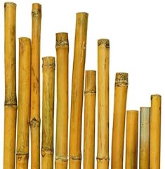 Canne canna bamboo usato  Spedito ovunque in Italia 