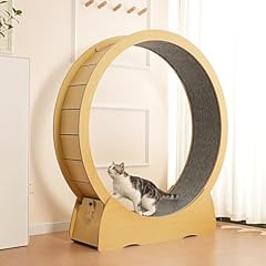 Cat exercise wheel for sale  Delivered anywhere in USA 