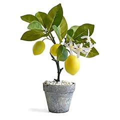 Luckforest artificial lemon for sale  Delivered anywhere in USA 