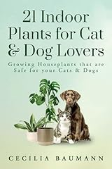 Indoor plants cat for sale  Delivered anywhere in USA 