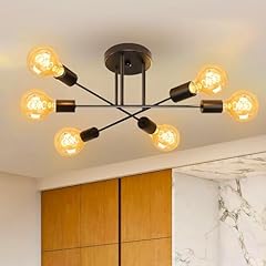Kanqiao deckenlampe schwarz gebraucht kaufen  Wird an jeden Ort in Deutschland