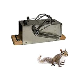 Squirrel ouell traps for sale  Delivered anywhere in USA 