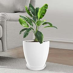 Flower pot indoor for sale  Delivered anywhere in USA 