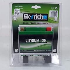 Skyrich lithium battery for sale  Delivered anywhere in UK