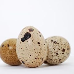 Empty whole eggshells for sale  Delivered anywhere in USA 