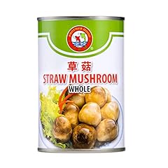 Brotherhood straw mushrooms for sale  Delivered anywhere in Ireland