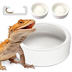 Reptile food dish for sale  Delivered anywhere in USA 