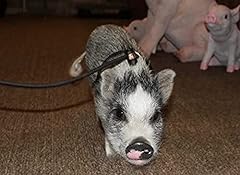 Piggy poo crew for sale  Delivered anywhere in USA 