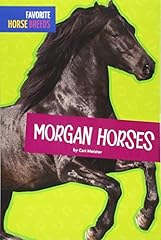 Morgan horses for sale  Delivered anywhere in USA 