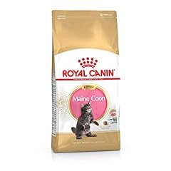 Royal canin maine for sale  Delivered anywhere in UK
