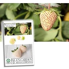 White alpine strawberry for sale  Delivered anywhere in USA 