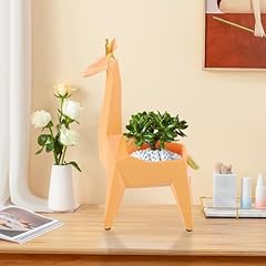 Jidaonop giraffe succulent for sale  Delivered anywhere in USA 