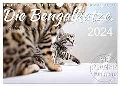 Chat bengale. édition d'occasion  Livré partout en France