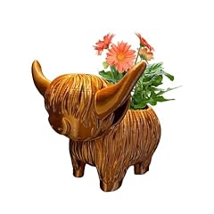 Healt highland cow for sale  Delivered anywhere in USA 