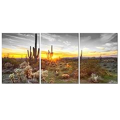 Sechars arizona wall for sale  Delivered anywhere in USA 