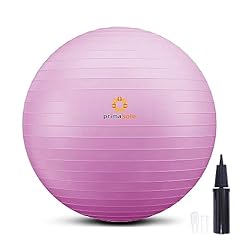 Primasole exercise ball for sale  Delivered anywhere in USA 