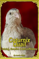 Coturnix quail raising for sale  Delivered anywhere in USA 