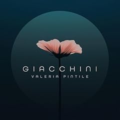Giacchini usato  Spedito ovunque in Italia 