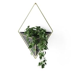 Umbra trigg hanging for sale  Delivered anywhere in USA 