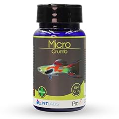 Labs pro micro for sale  Delivered anywhere in UK