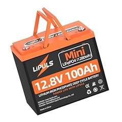 12v100ah mini lifepo4 for sale  Delivered anywhere in USA 