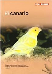 Canario d'occasion  Livré partout en Belgiqu