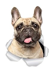 Winston bear loveable for sale  Delivered anywhere in UK