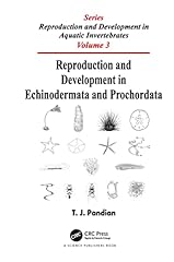 Reproduction development echin for sale  Delivered anywhere in USA 