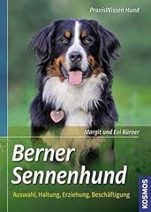 Berner sennenhund auswahl gebraucht kaufen  Wird an jeden Ort in Deutschland