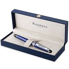 Waterman expert penna usato  Spedito ovunque in Italia 