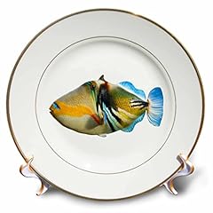 3drose inch porcelain for sale  Delivered anywhere in USA 