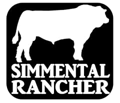Simmental rancher bull for sale  Delivered anywhere in USA 