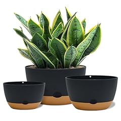 Koalaime inch pots for sale  Delivered anywhere in USA 
